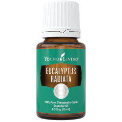 Eucalyptus Radiata Essential Oil 15ml